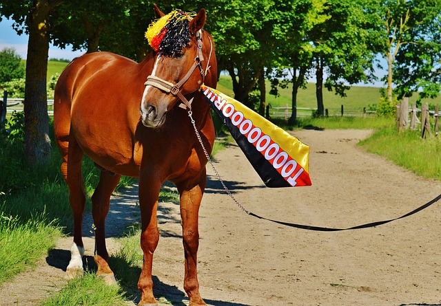 A·史密斯：快船现在就是垃圾，拥有体育界最差的超级巨星
